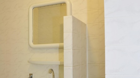 Badkamer - Bungalowpark Het Bosmeer