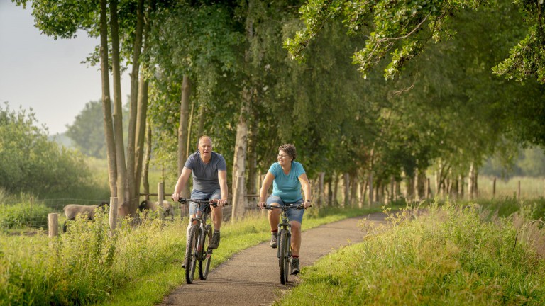 Omgeving - Bungalowpark Het Bosmeer