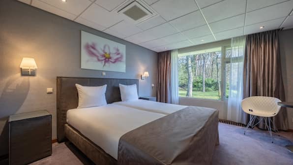 Deluxe kamer met airco - Landgoed de Rosep