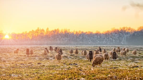Friesland - Hotel Noudus