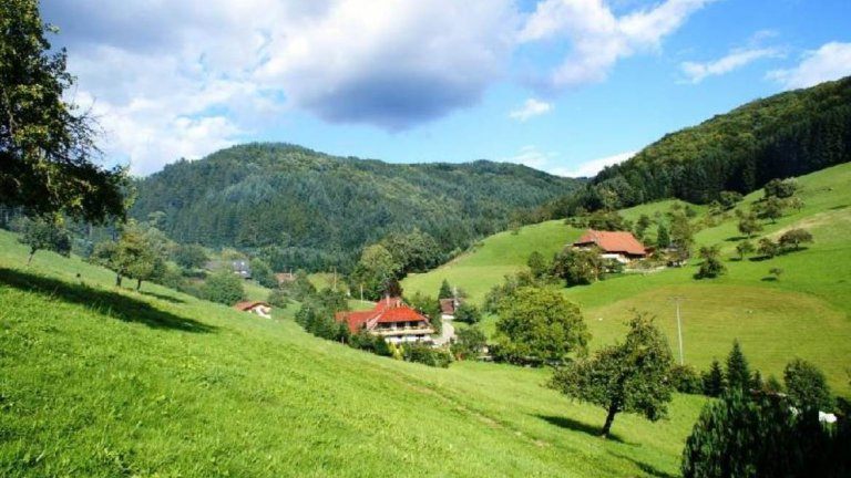 Omgeving - Hotel Grüner Hof