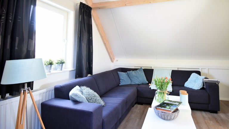 Luxe kamer - Bed and Breakfast De Beddestee