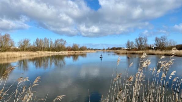 Omgeving - Logement Garjen