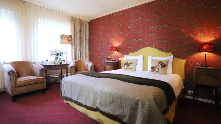 Cosy kamer - Hotel Restaurant Het Ros van Twente