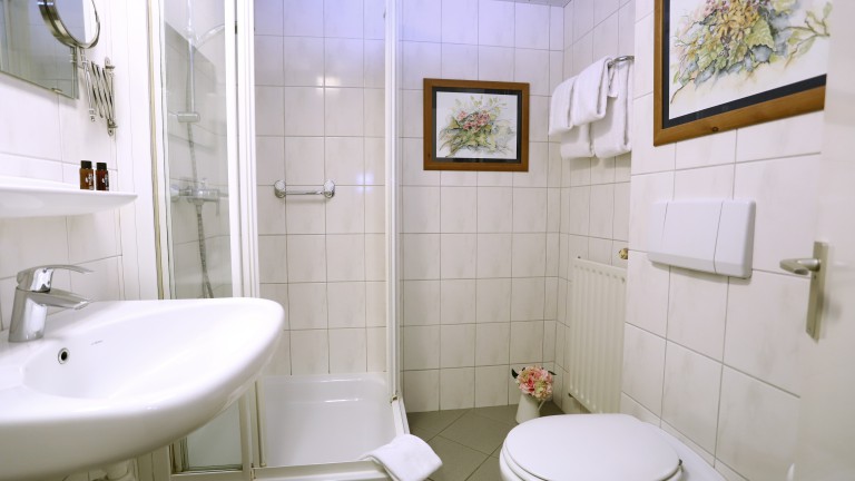 Cosy kamer - Hotel Restaurant Het Ros van Twente