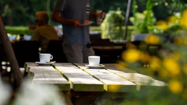 Terras - Natuurpoort van Loon