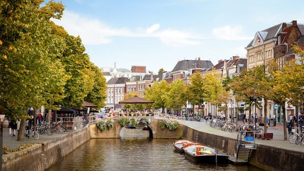 Leeuwarden - Luxe Cityhouse De Rozenboom