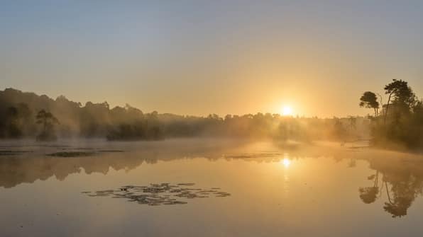 Brabant - Hotel de Naaldhof Brabant - Hotel de Naaldhof