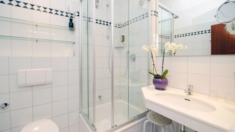 Standaard kamer - Ringhotel Birke