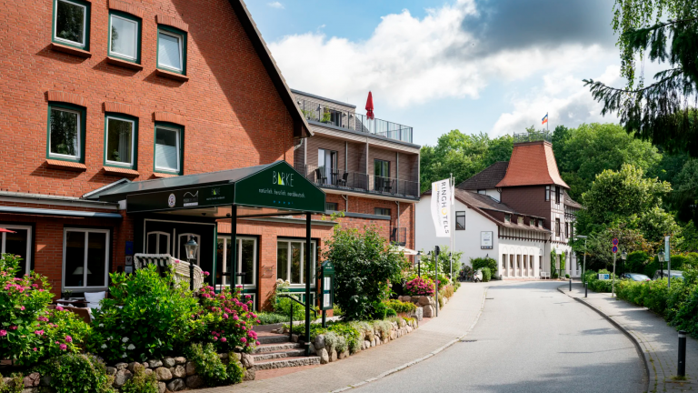 Ringhotel Birke - Ringhotel Birke