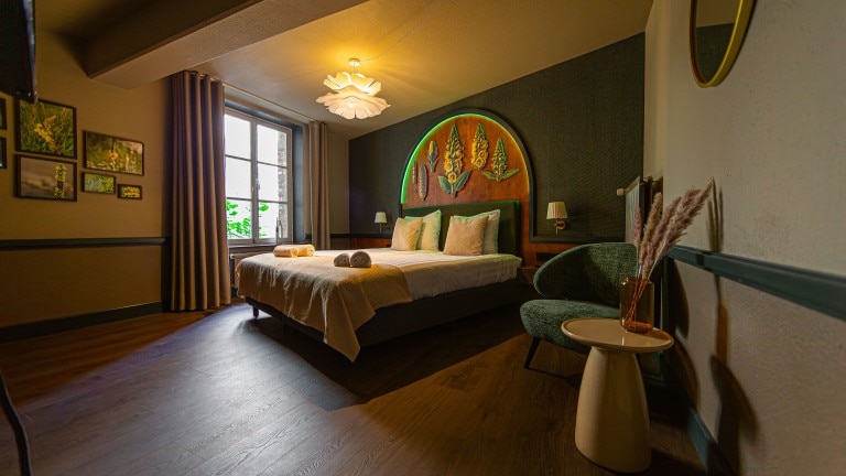 Standaard kamer - Buitenplaats Kasteel Elsloo