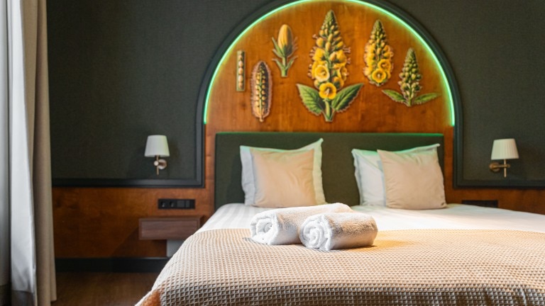 Standaard kamer - Buitenplaats Kasteel Elsloo