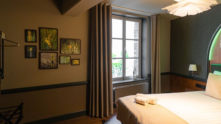 Standaard kamer - Buitenplaats Kasteel Elsloo