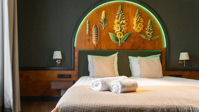 Deluxe kamer - Buitenplaats Kasteel Elsloo