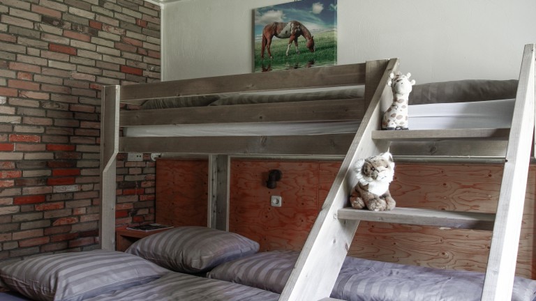 Driepersoonskamer - Natuurpoort van Loon