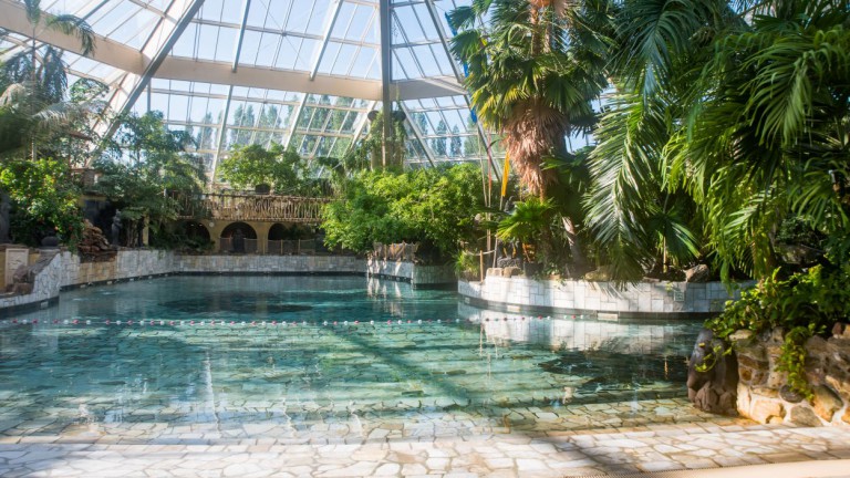 Subtropisch zwemparadijs - Center Parcs de Eemhof