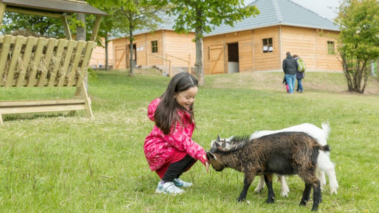 Boerderij - Center Parcs Hochsauerland