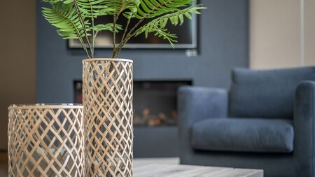 Woonkamer - Villapark de Koog