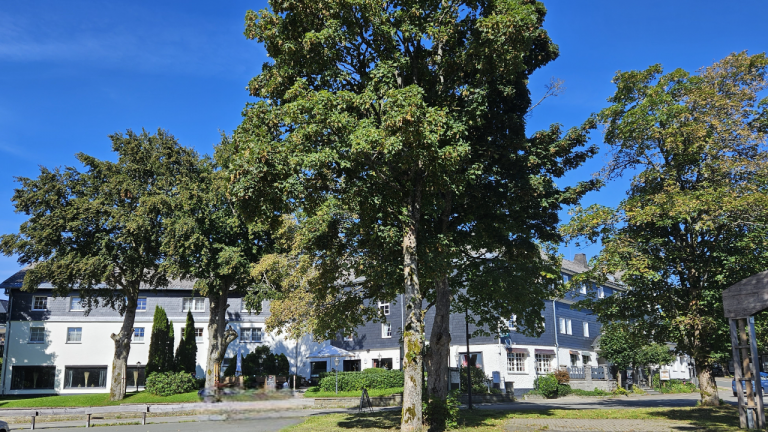 Hotel Altastenberg - Hotel Altastenberg