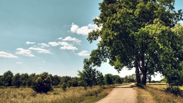 Maasmechelen - Buitenplaats Kasteel Elsloo