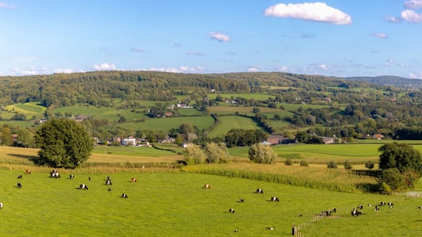 Limburgs landschap - Buitenplaats Kasteel Elsloo