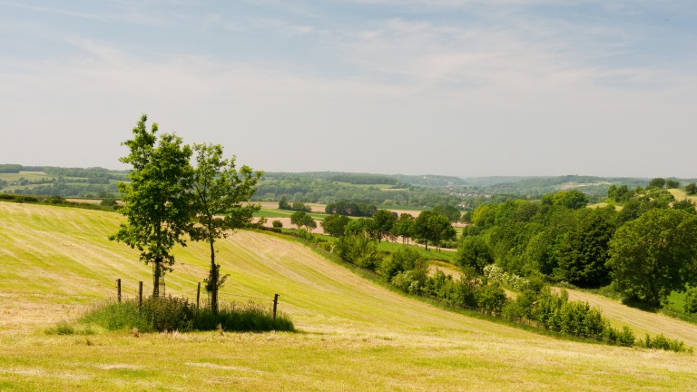 Limburgs landschap - Maison Brigida