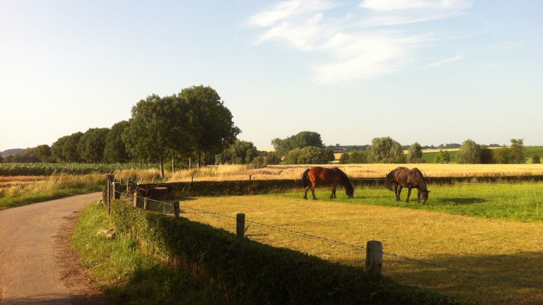 Limburgs landschap - Maison Brigida