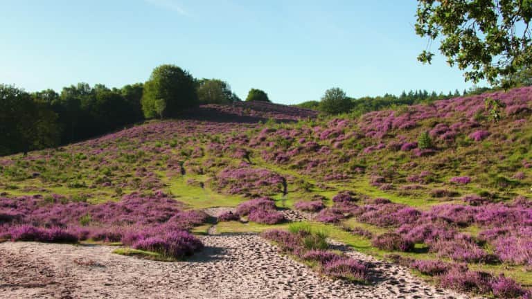 Landgoedhotel Villa Vennendal