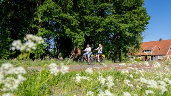 Omgeving - Landal Olde Kottink