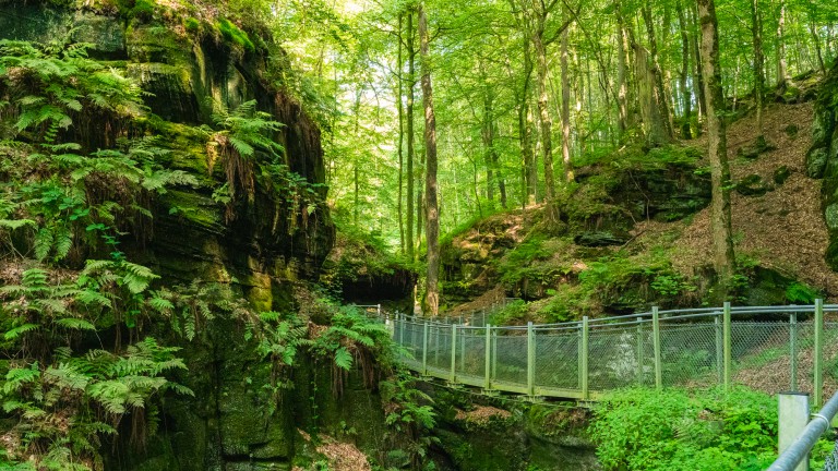Omgeving- Resort Walsdorf