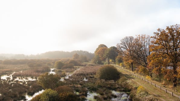 Omgeving - Vakantiepark De Kremmer Omgeving - Vakantiepark De Kremmer