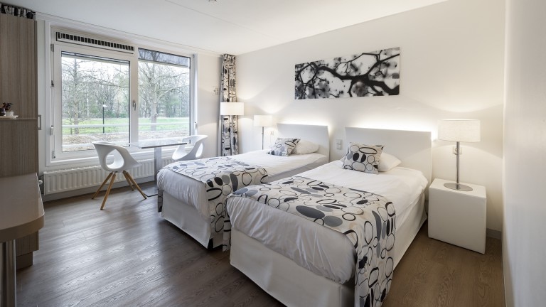 Superior kamer - Hotel Mitland