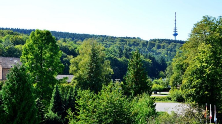 Eenpersoonskamer met balkon waldblick - Wohlfühlhotel der Jägerhof