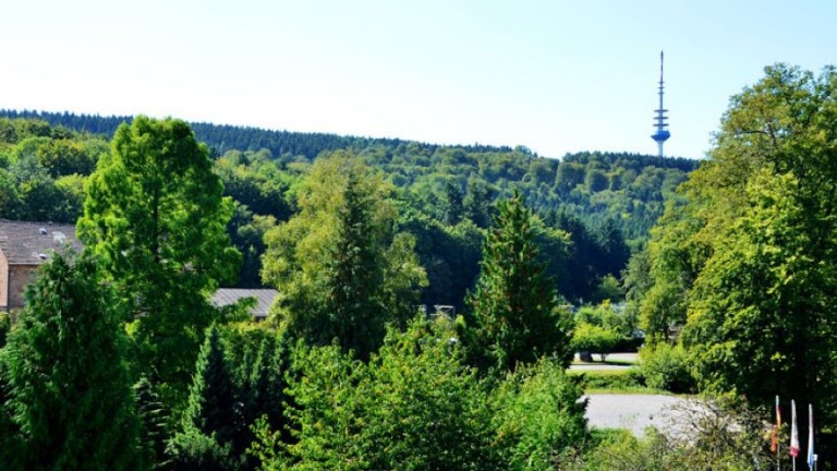 Tweepersoonskamer met balkon waldblick - Wohlfühlhotel der Jägerhof