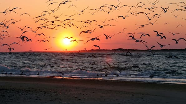 Strand - Hotel Bloemfontein