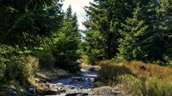 Omgeving - Dein Hotel Braunlage