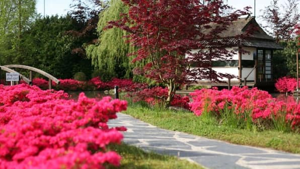 Bronsbergen Wellness en Hotel - Bronsbergen Wellness en Hotel Bronsbergen Wellness en Hotel - Bronsbergen Wellness en Hotel