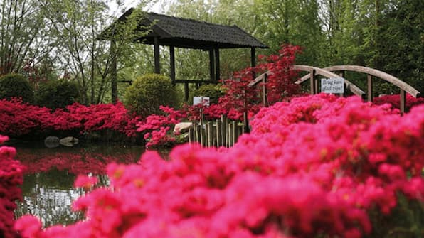 Bronsbergen Wellness en Hotel - Bronsbergen Wellness en Hotel Bronsbergen Wellness en Hotel - Bronsbergen Wellness en Hotel