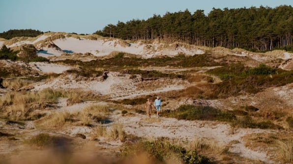 Vakantiepark Buiten Bergen - duinen