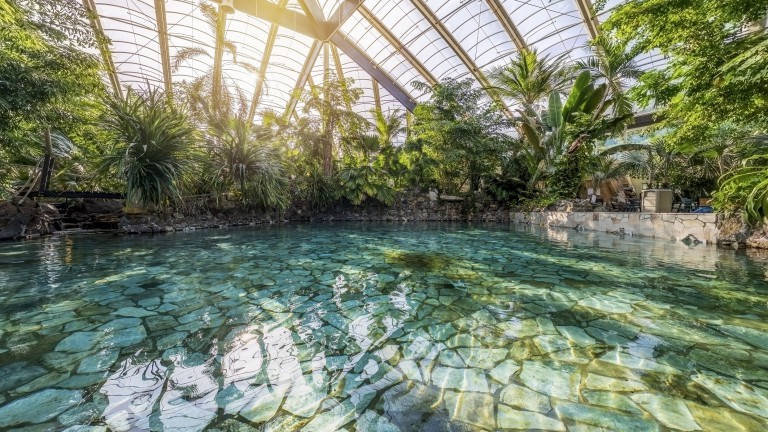 Zwemparadijs - Center Parcs Park Erperheide