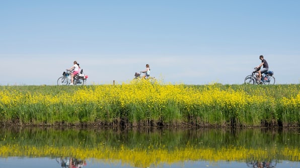 Omgeving - Hotel Mijdrecht Marickeland