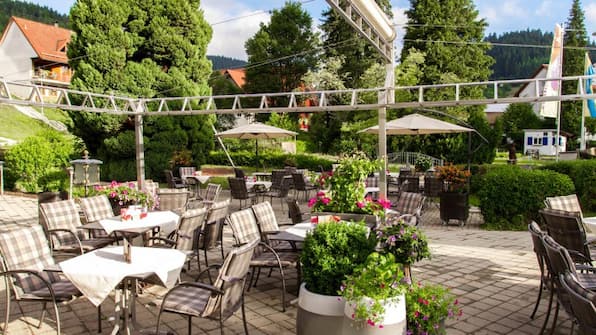 Terras - Hotel Waldblick