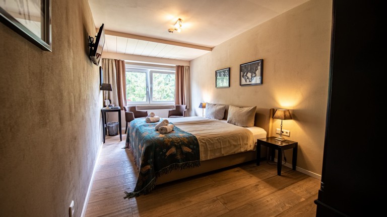 Comfort kamer - Landhotel Flora en Fauna