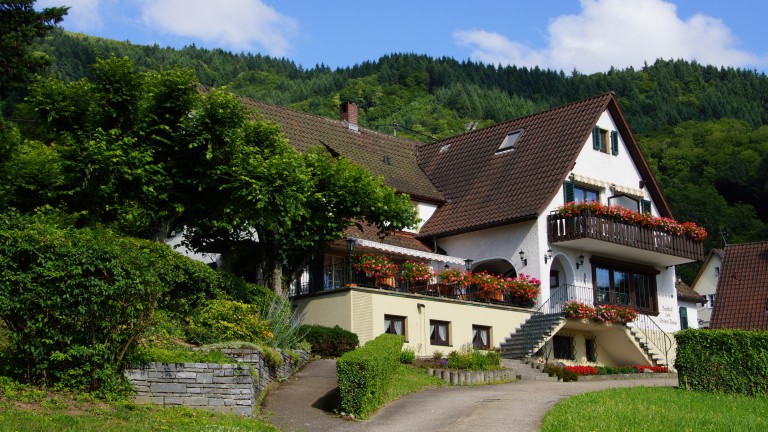 Landgasthof Grüner Baum - Landgasthof Grüner Baum