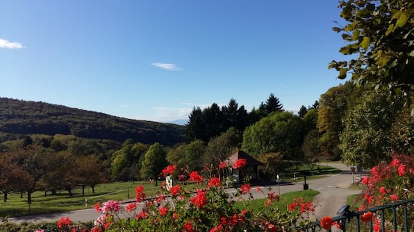Omgeving - Landgasthof Grüner Baum