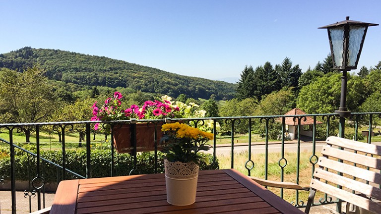 Terras - Landgasthof Grüner Baum