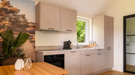 Keuken - Dormio Resort De Hondsrug