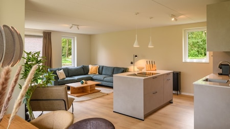 Woonkamer  - Dormio Resort De Hondsrug