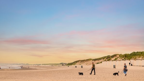 Omgeving - Dormio Strand Resort Nieuwvliet-Bad Omgeving - Dormio Strand Resort Nieuwvliet-Bad