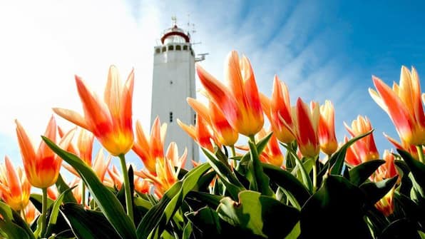 Omgeving - Hotel Astoria Noordwijk